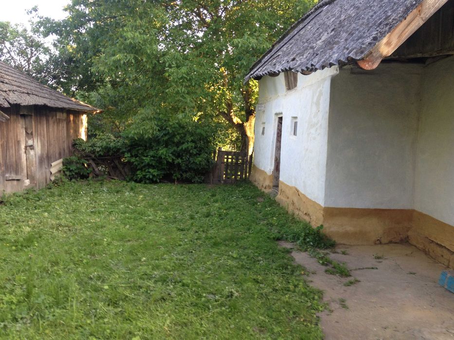 Приватний будинок з присадибною ділянкою