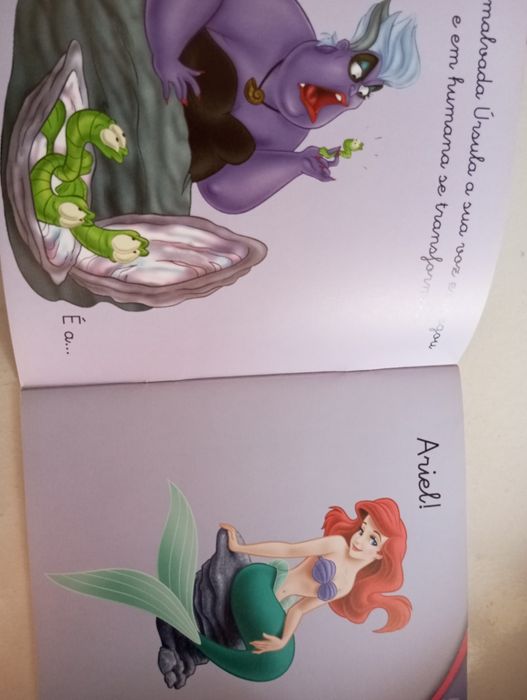 Advinha que princesa é