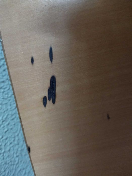 Secret%C3%A1ria+Escrit%C3%B3rio+grande+Black+Friday64739165590145123