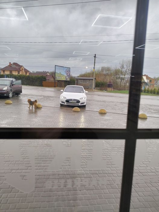 Обмін/Продамо свою домашню хорошу теслу!