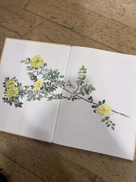 Livro "The Springs of Joy" - Tasha Tudor (Edição 1979)