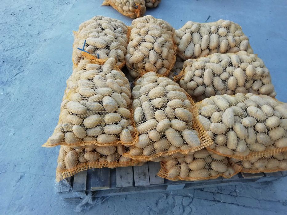 Ziemniaki Denar, Quinn Anna, Ignacy,Wineta