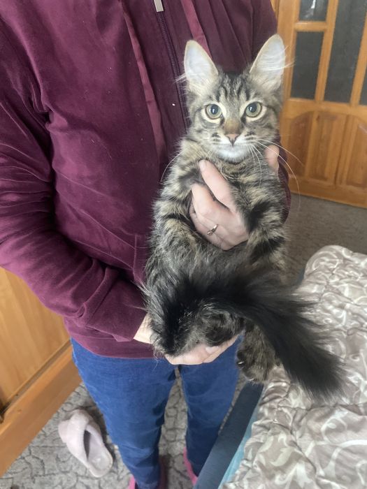 Лучший родарочек