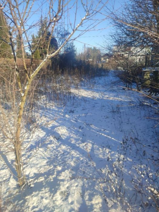 Dom – Krobia, powiat toruński - Widok 4
