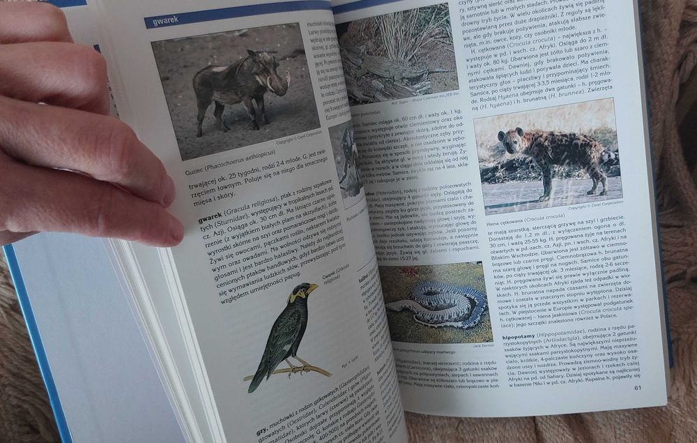 Encyklopedia Audiowizualna Britannica: Zoologia