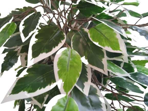 Fikus Sztuczne Drzewko Beniamin Benjamin Kwiat 100