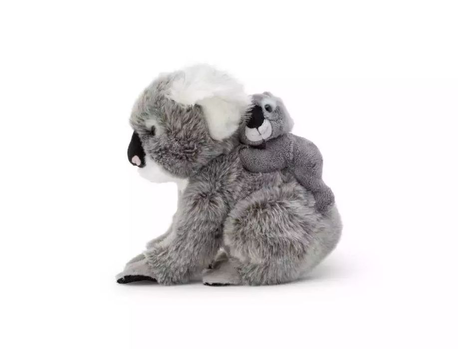 Koala Z Dzieckiem. Nowy Produkt