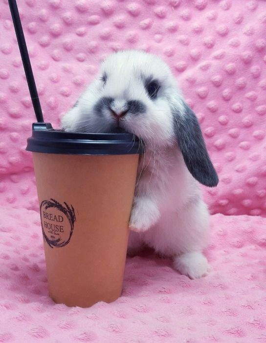 Ніжність у кожному русі!