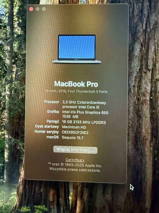 MacBook Pro 13”, 2018, dodatkowo w cenie iPad mini 2 + Magic Mouse