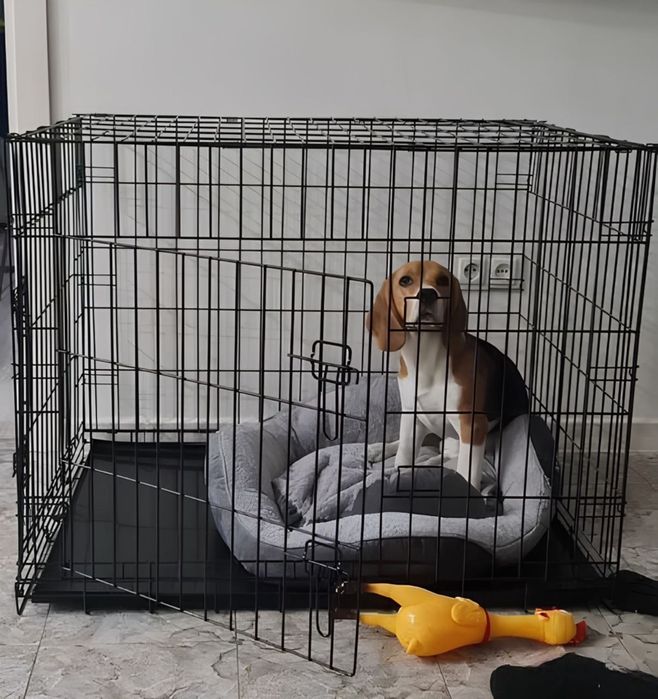 Клетка для собак металлическая, разборная—Вольєр для тварин НОВИЙ‼️