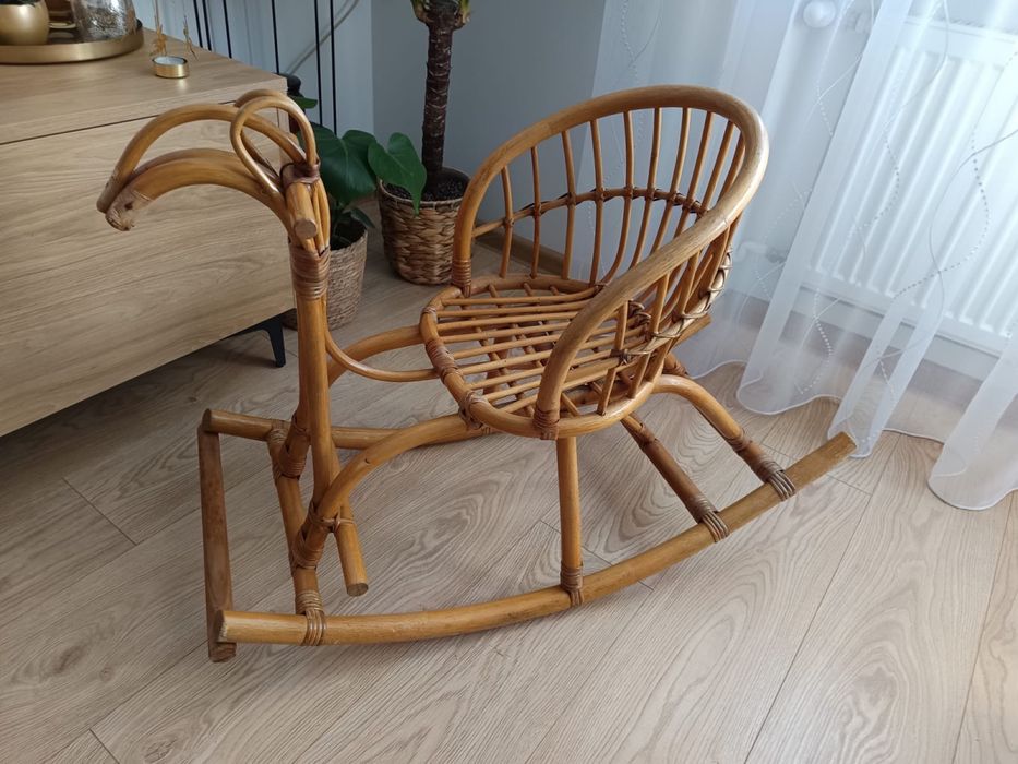 Konik bujany Rybnik