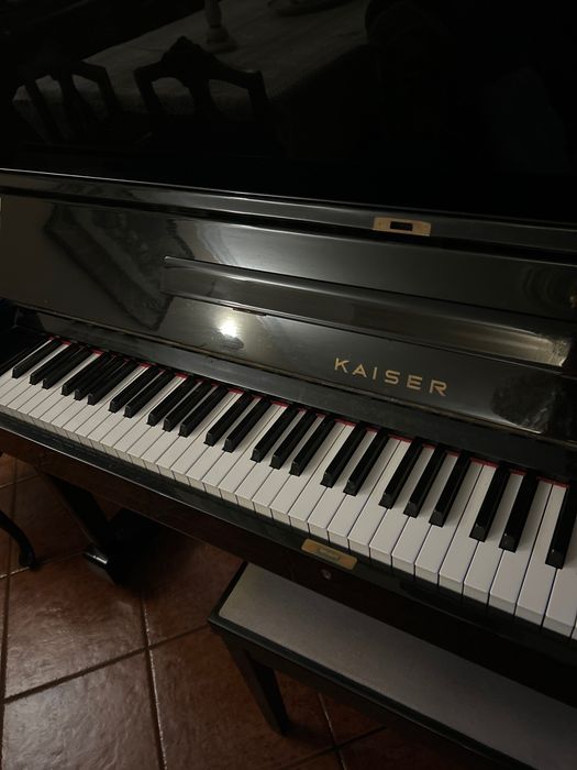 Vendo um piano vertical de excelente qualidade e muito bom estado .