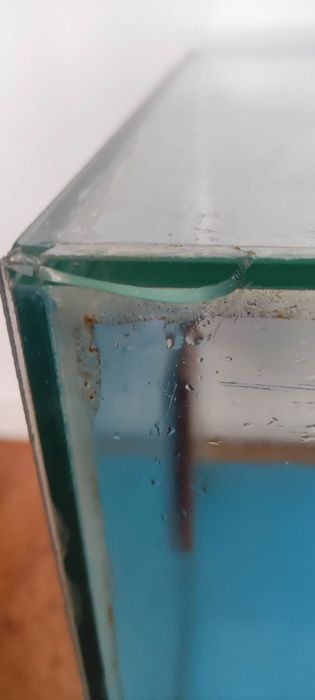 Aquário Cubo 50x50x50