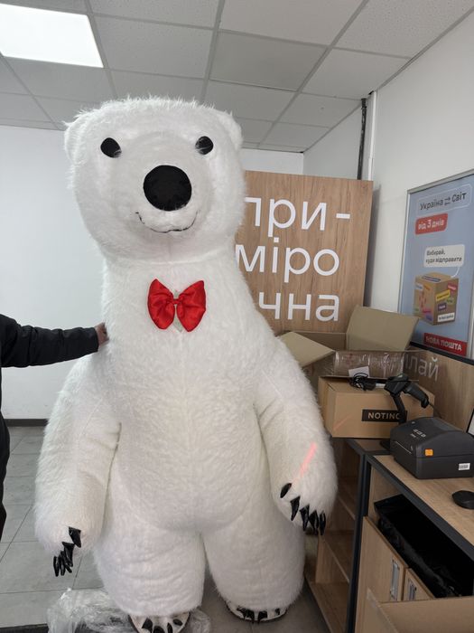 Білий мішка ведмідь