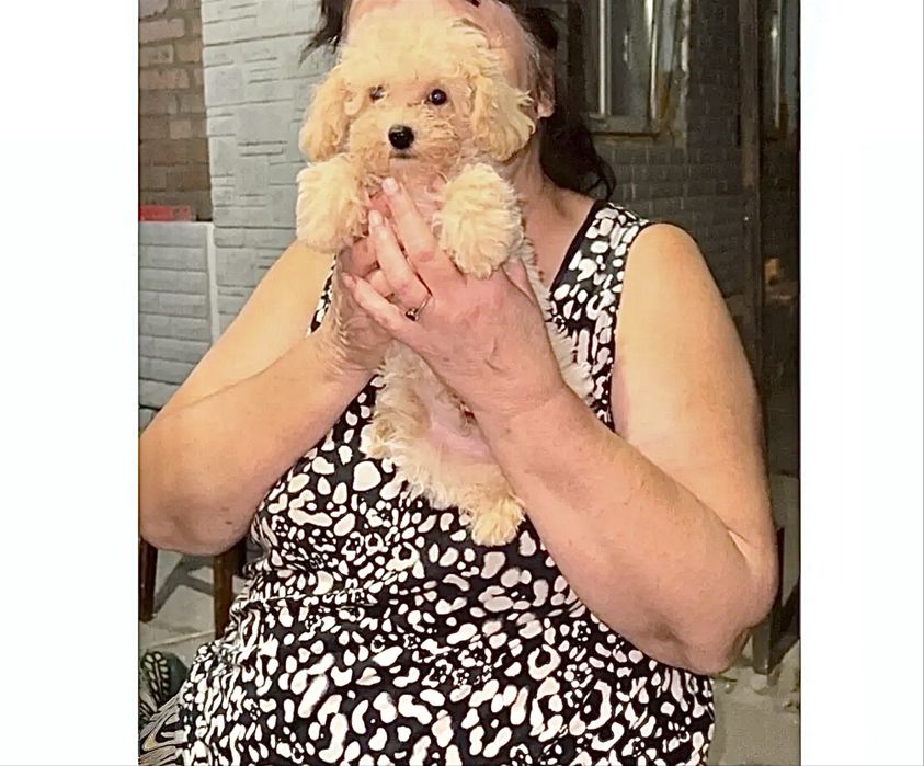 Маленька красуня дівчинка