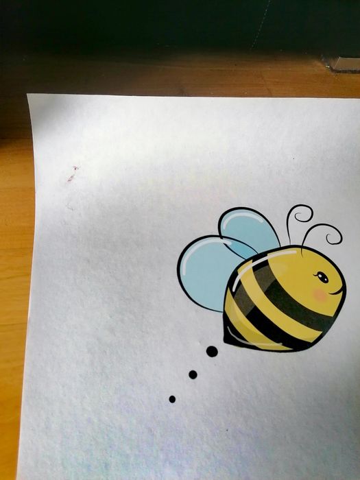 Fototapeta ścienna dziecięca, tapeta sowa, duża 2x2m