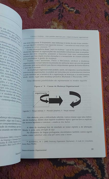Desenvolvimento Organizacional - Maria Manuel Valadares Tavares