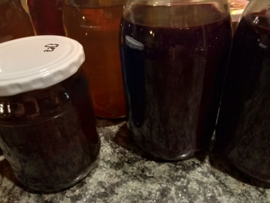 Zestaw Czarny bez sok oxymel zakwas podbiał syropy jeżówka melisa głóg