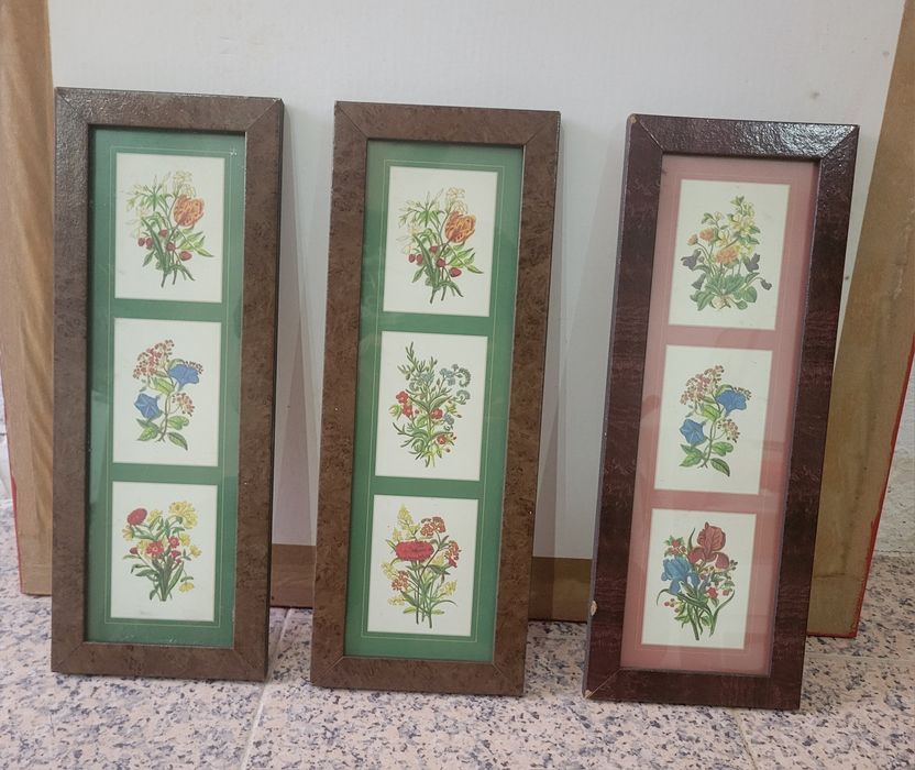 Quadros Decoração ver fotos
