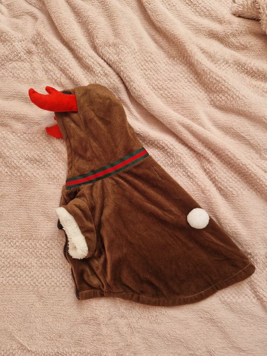 Ubranko świąteczne dla psa