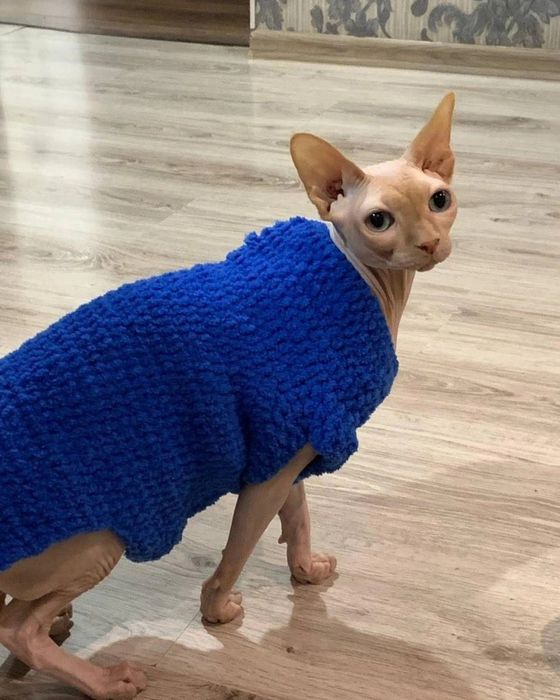 Одежда на кошек, животных, собак, котят, сфинксов