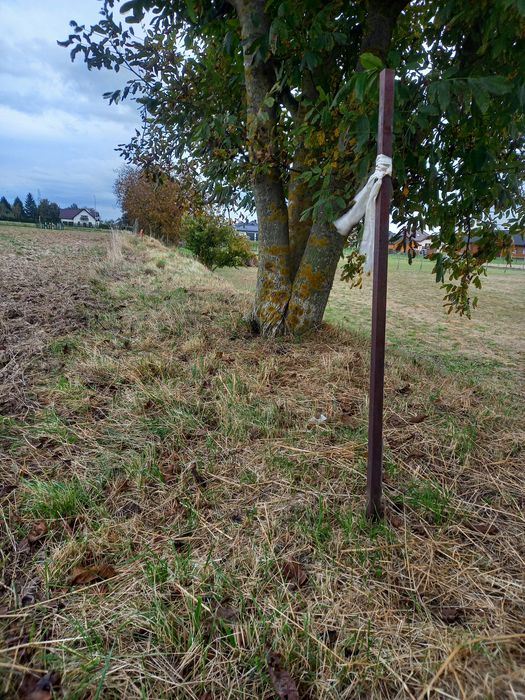 Działka 10a z przeznaczeniem pod zabudowę mieszkaniową jednorodzinną - Widok 4