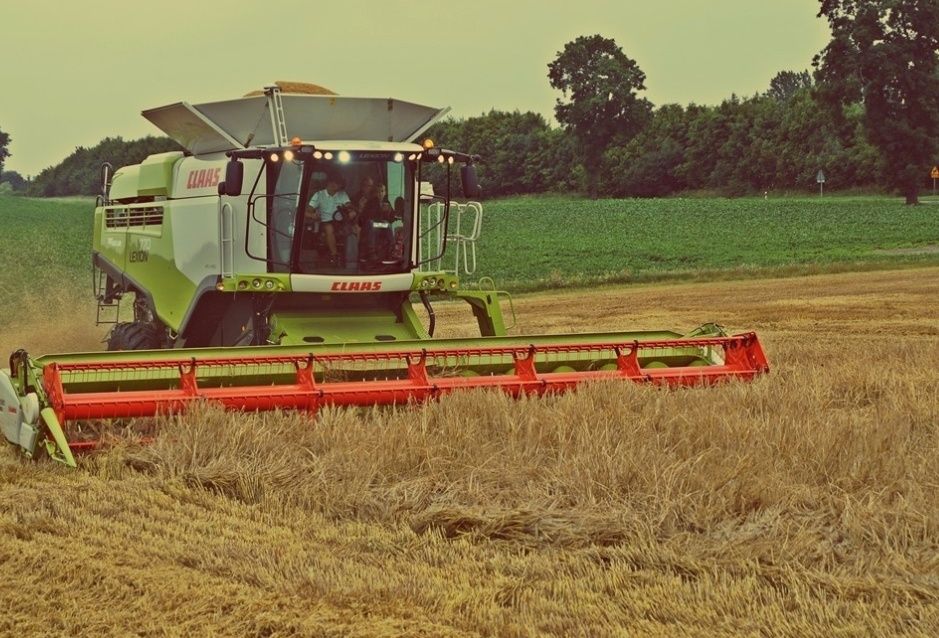 Sprzedaż Hurtowa Wysłodki, Sianokiszonka, Siano, Kukurydza, Zboże