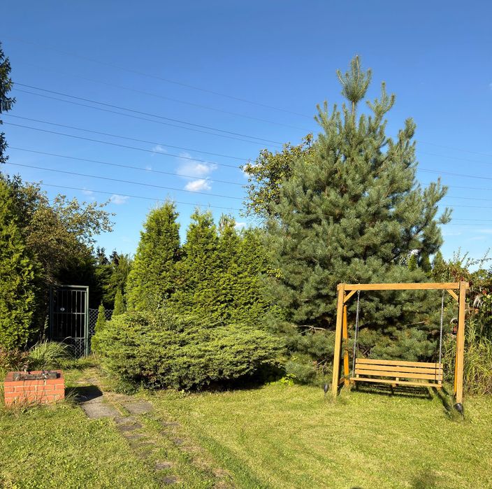 Ogródek działkowy z sauną