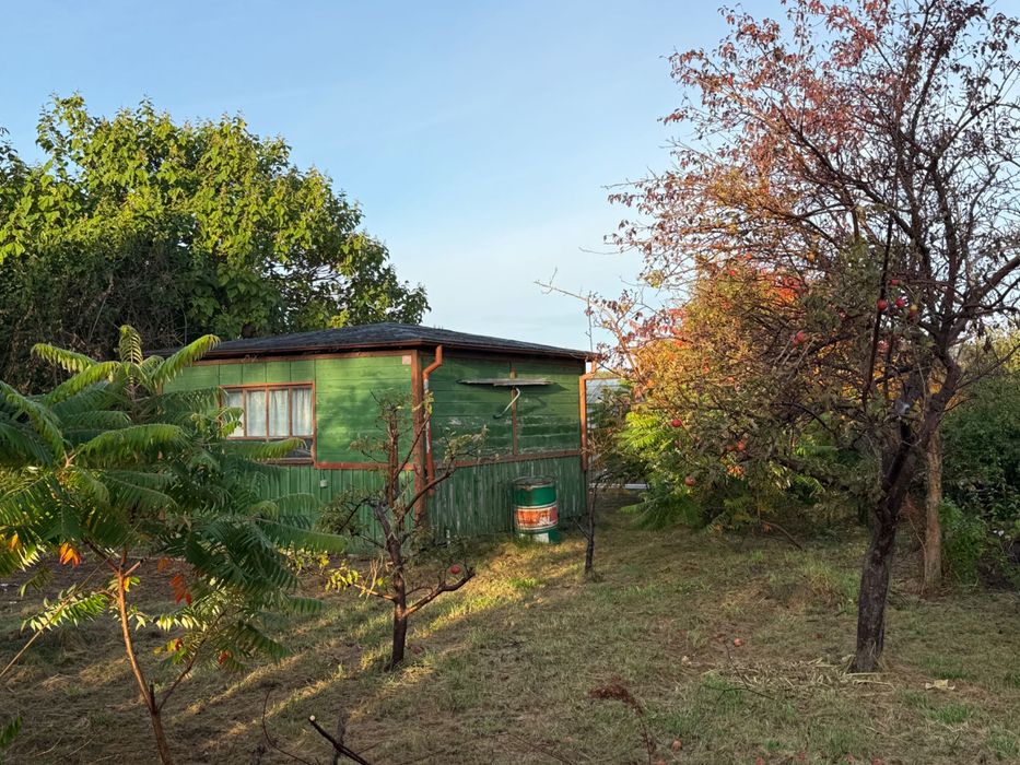 Działka ROD Reja Gdynia ul. Zielona - Widok 2