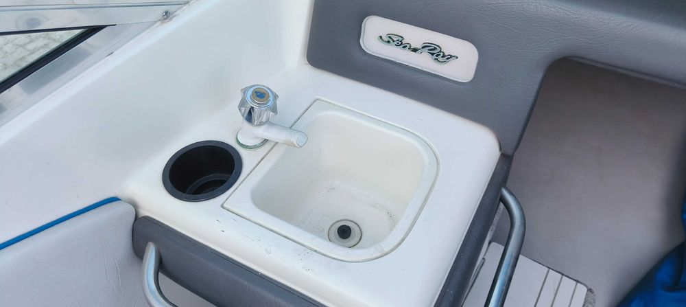 Barco de recreio Sea Ray 220