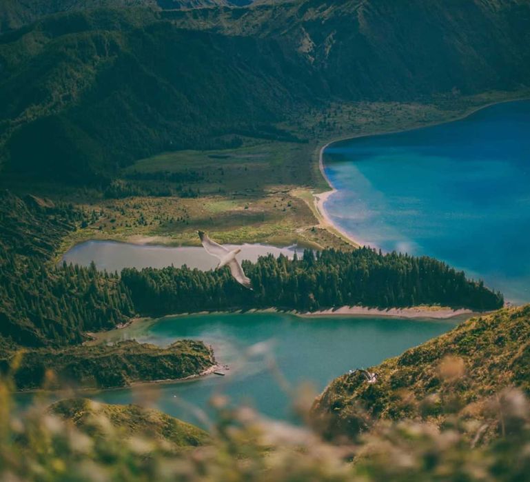 Lente Sigma 135mm f/1.8 DG HSM ART (Canon Mount)