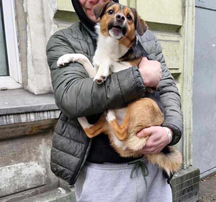 Mufasa szuka odpowiedzialnych ludzi