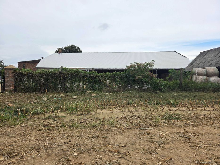 Usługa wykaszania zaniedbanych terenów zielonych