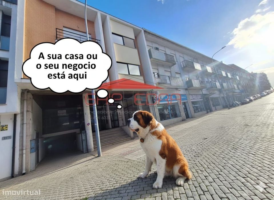 Oportunidade apartamento 2 pisos transformado loja centro Viseu