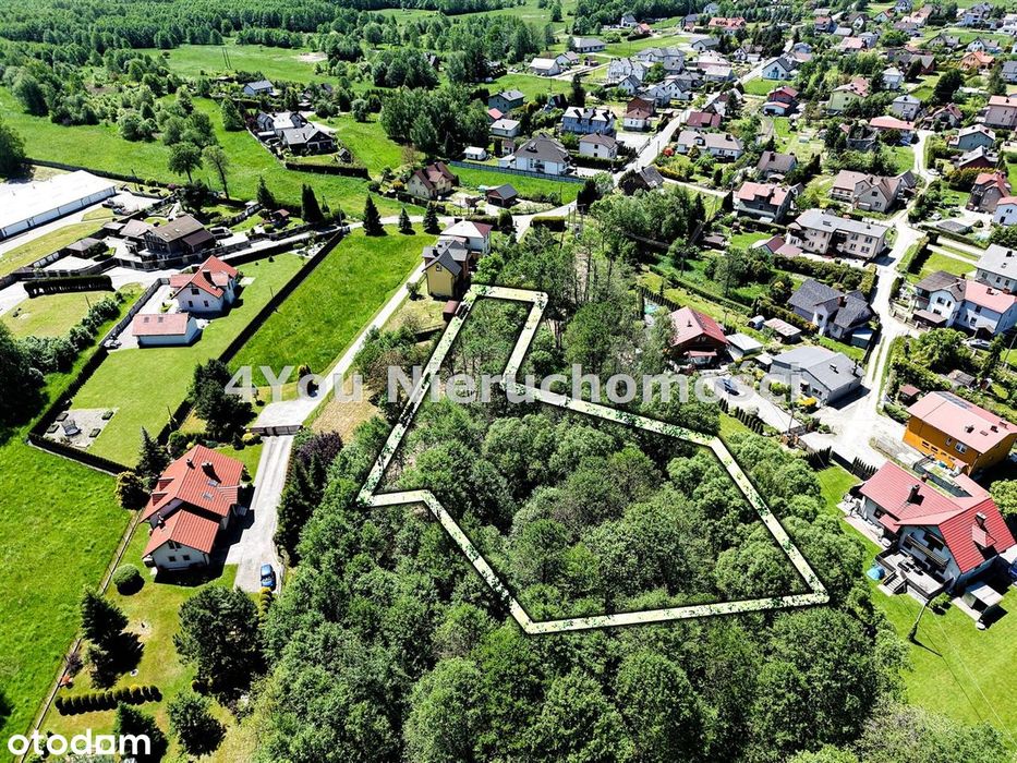 Działka Meszna budowlana 7a+12a lasu - Widok 6