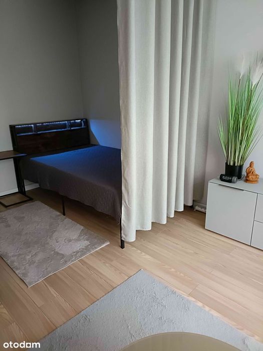 1-pokojowe mieszkanie z balkonem do wynajęcia
