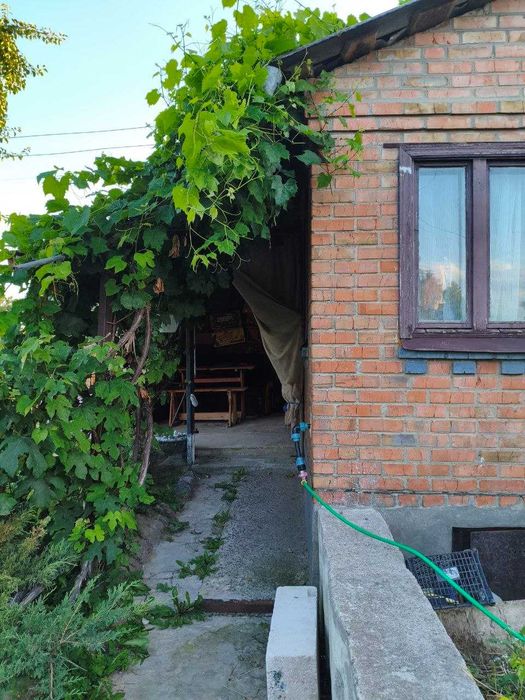 Дача для постійного проживання або відпочинку у Фастові.