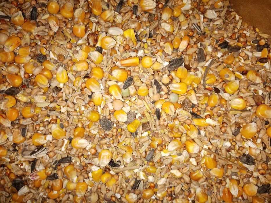 Karma dla gołębi Uniwersalna 25kg U Kampol