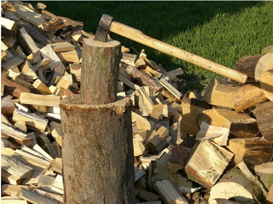 Розчищення ділянок, зрізання дерев