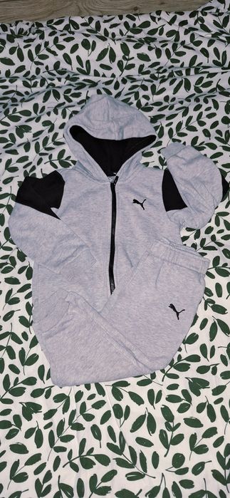 Dres Puma oryginalny