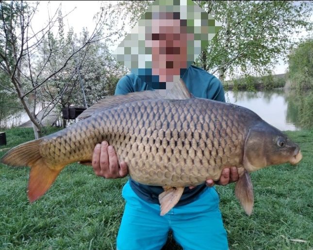 Оренда A-frame будинку біля водойми | Риболовля |Відпочинок на природі