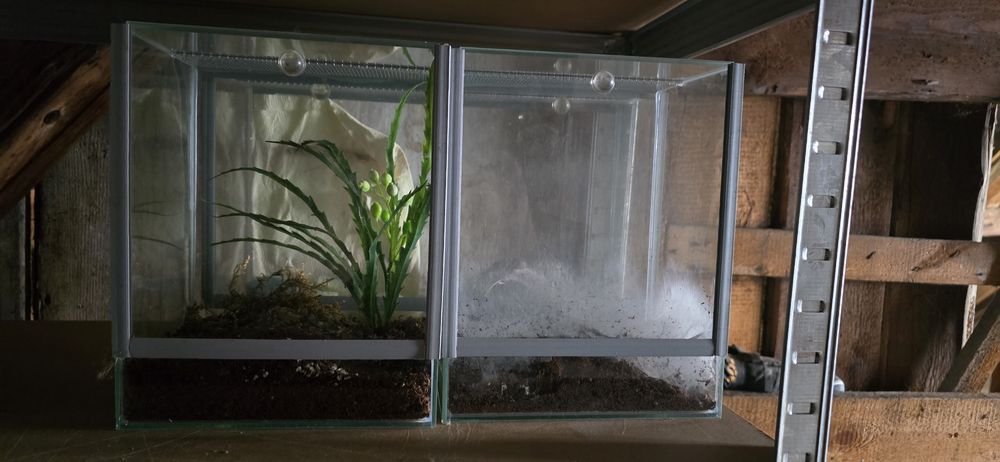 Terrarium, gilotyna