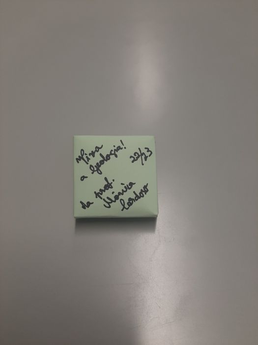 Turritela Miocénico Fóssil