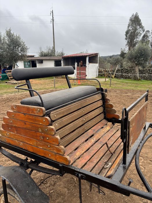 Charrete para cavalo