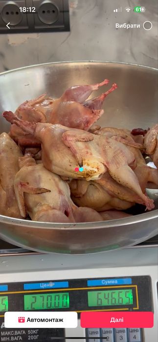 Тушки перепілок перепела мясо перепела перепелка