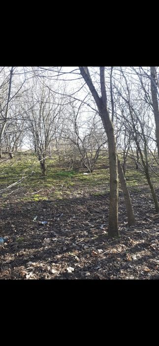 Działka rolna z lasem nad rzeką Bzurą, Sochaczew,  mazowieckie