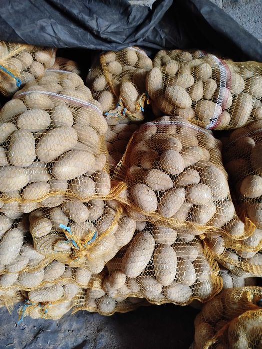 sprzedam jadalne ziemniaki