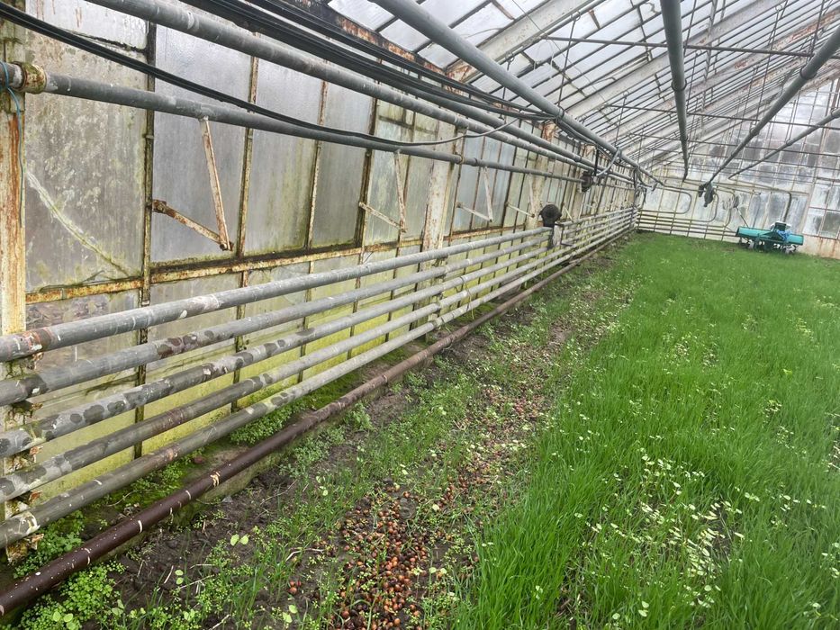 Sprzedam rury z ogrzewania szklarnii