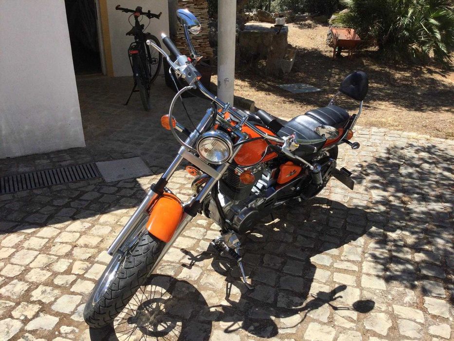 Suzuki LS Savage 650