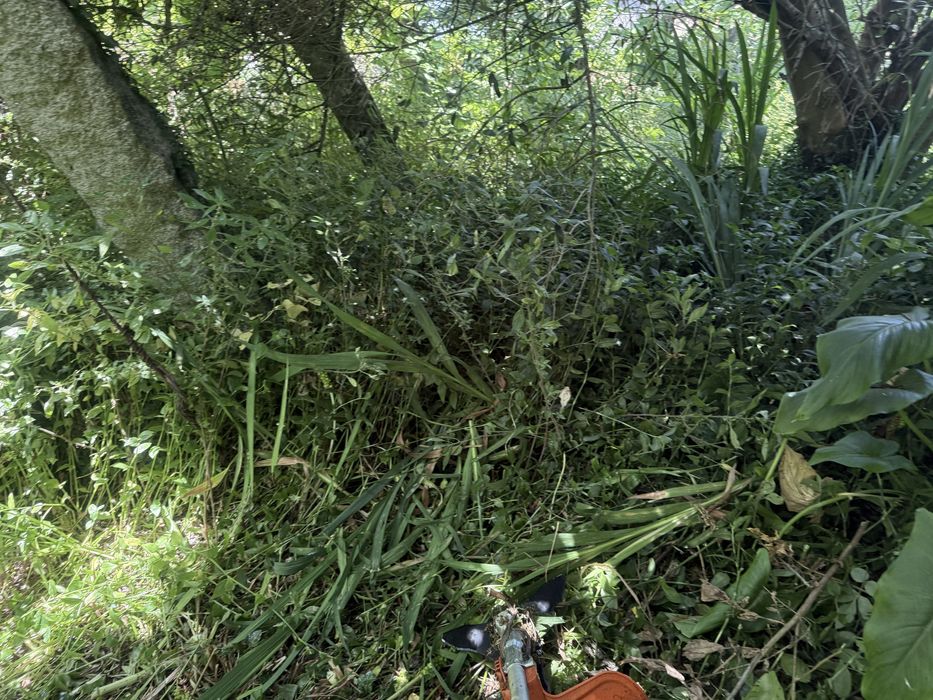 Fazemos limpeza de quintas ou terrenos com trator